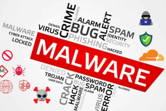 do penetration testing or website testing with professional reports