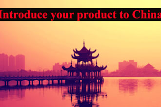 help you to introduce your product in china