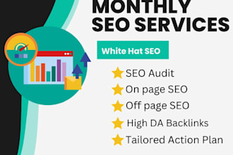 provide monthly on page and off page service with guaranteed ranking