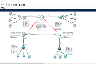 support you with ccna, packet tracer projects and networking tasks