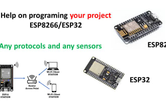 help you on your project esp32 or esp8266 program