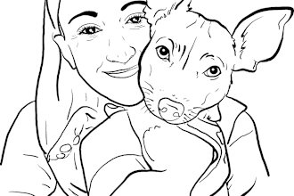 convert your pets to line drawing