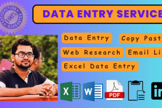 provide accurate data entry, web research, email, copy paste