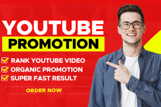 do organic youtube channel promotion for your video