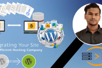 migration, backup, and transfer big wordpress website