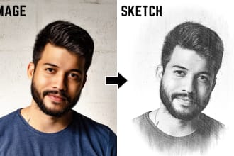 draw pencil sketch portrait and illustrations