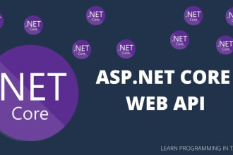 master your dot net core project front end, back end, database