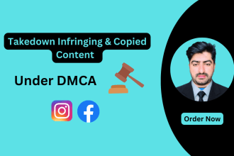 takedown infringing and copied content over fb and insta under dmca