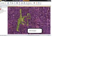 create gis maps, vector and raster maps