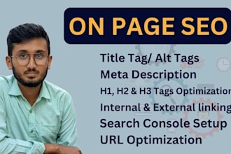 do wordpress on page SEO optimization