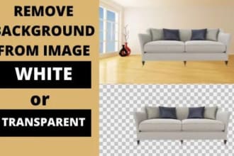 make white background, transparent or png superfast