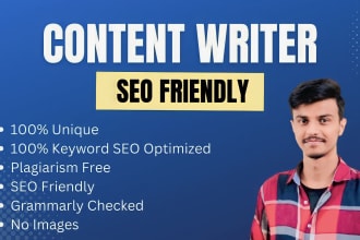 do SEO content writing service for website blog and article
