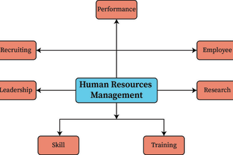 do human resource ,business management, strategic marketing and leadership work