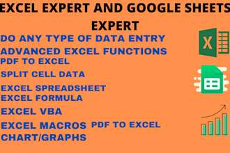 microsoft  excel expert, ms office, ms word, data entry, , PDF conversation