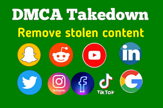 takedown content from google, onlyfans, reddit,fb,yt,ig, amazon, x under dmca