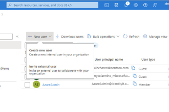 do identity and access management in sailpoint, azure ad and okta along with sso