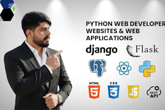 build a professional django web app or website with python