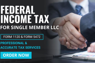 prepare and file your US income tax returns for llc and personal