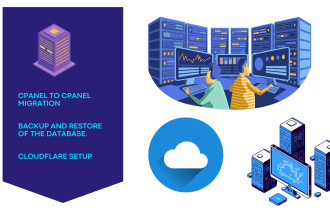 do dns, domain transfer, hosting, website transfer, web migr