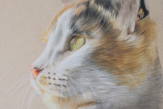 draw realistic pet dog, cat portrait
