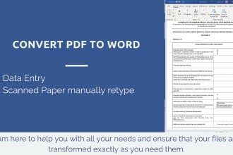 convert PDF to word, data entry and scanned pdf paper manually retype