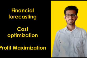 make financial forecast, financial planning and business modelling