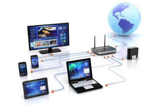 senior system and network administrator