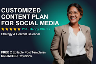 create a social media strategy, audit and strategic advice