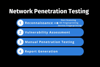 perform a network security scanning with detail report