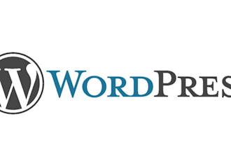 build a wordpress website