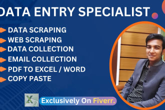 do data entry, web scraping, excel, typing, copy paste work