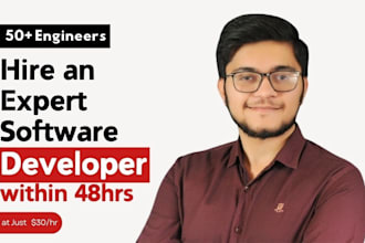 do saas web application custom software development as software developer