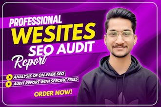 do website technical SEO audit with a detailed report