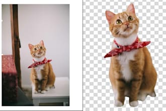 remove background from images professionally with photoshop
