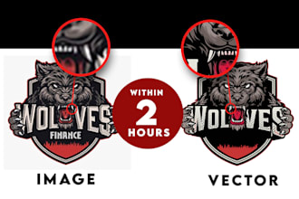 vectorize, trace, redraw  complex image to vector in 2 hours