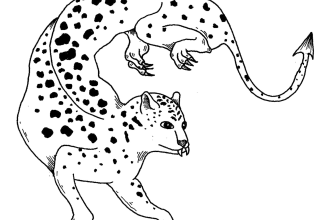 draw tattoo designs of real or fantastics animals and plants