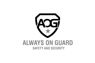 design outstanding security logo within 15 hours
