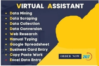 be your executive virtual personal assistant