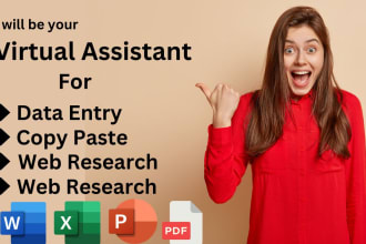 do perfect, fast and accurate data entry in low price