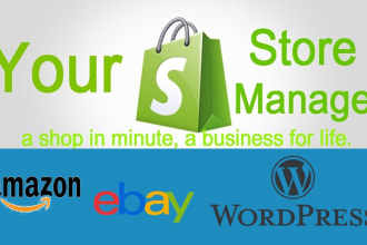 manage amazon, ebay, wordpress, shopify, store full time