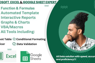 be excel and google sheet expert on formulas, macros, charts and KPI dashboards