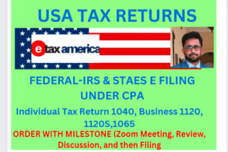 e file USA individual and llc business tax returns under CPA