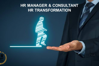 provide expert HR consultation for individuals or businesses