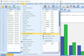 data analysis and report writing in spss