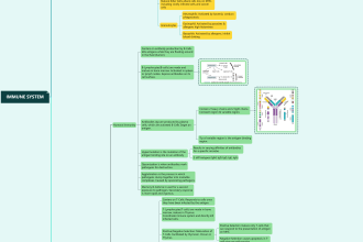 create colorful medical mind maps