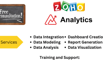 do any job about zoho analytics, form, sales iq, zo bot, zoho chabot, zoho one