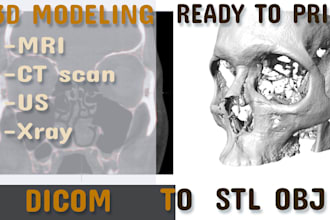 do 3d model from mri, xray, ct scan and electron microscope images