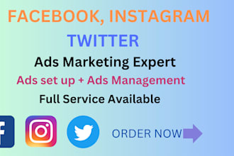 set up and manage facebook ads campaign with instagram ads twitter ads campaign