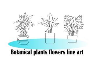 draw botanical flowers, fruits, plants, foods one line art digital illustration