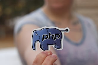 expertly fix PHP bugs to enhance your website  performance